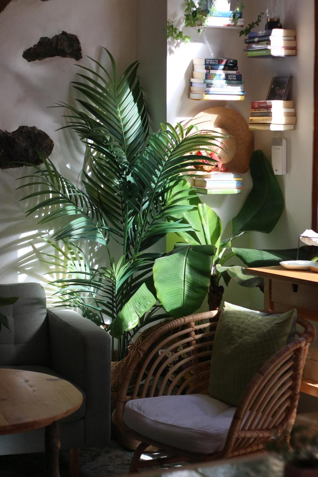 Banana Garden La Palma Hotel Santa Cruz de la Palma  Kültér fotó